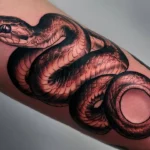 Snake Tattoo