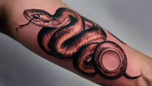 Snake Tattoo